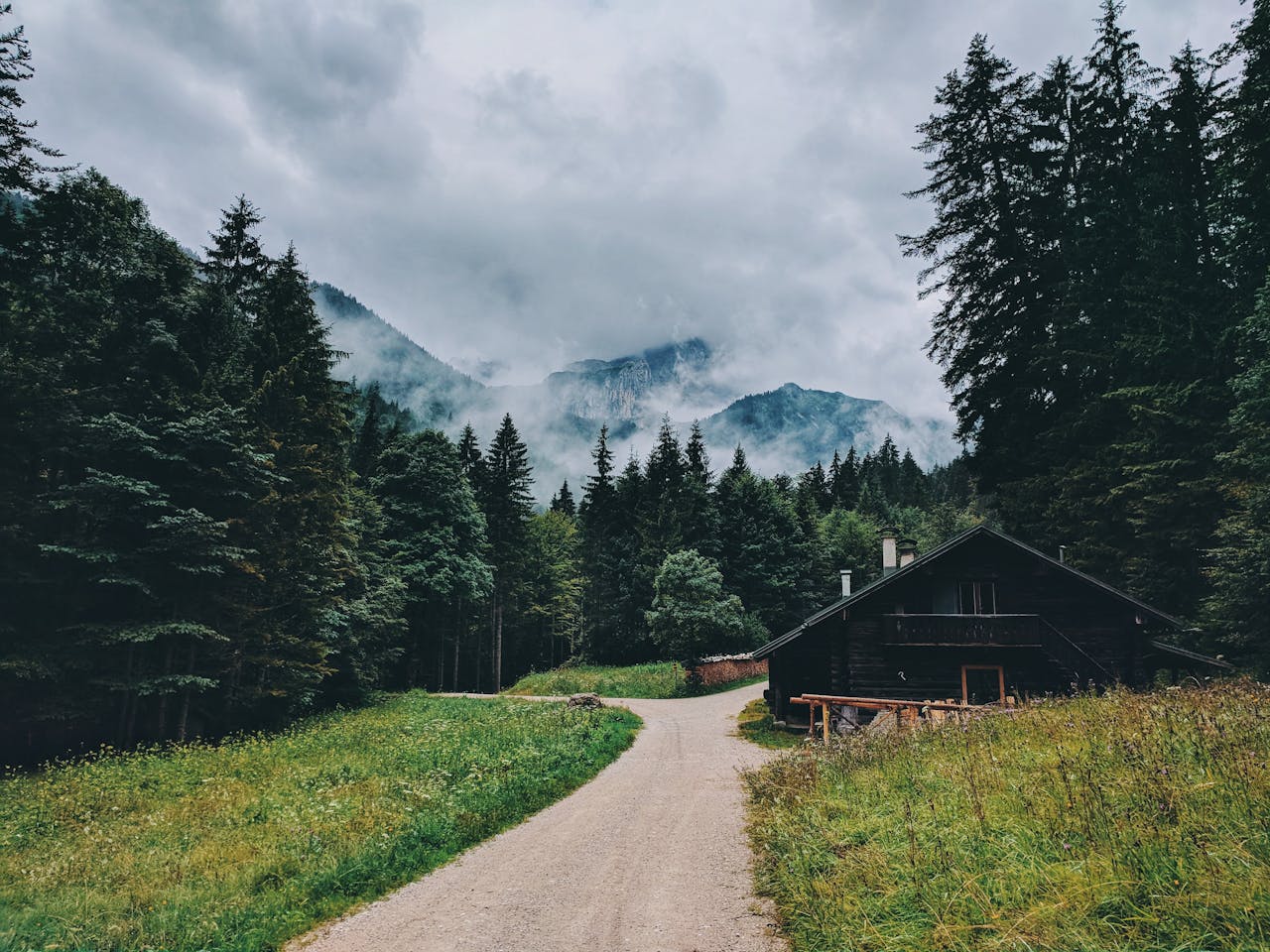 pexels photo 2527556.jpeg