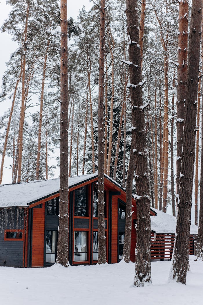 Charming wooden cabin nestled among tall pine trees in a winter wonderland.